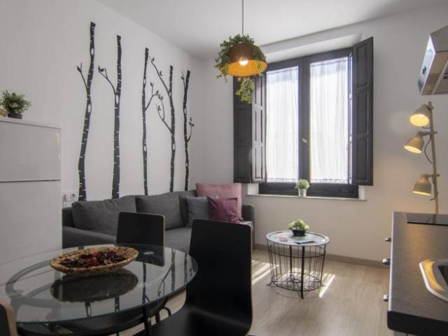 Apartamentos 1 Dormitorio Granada Granada ELS101731816