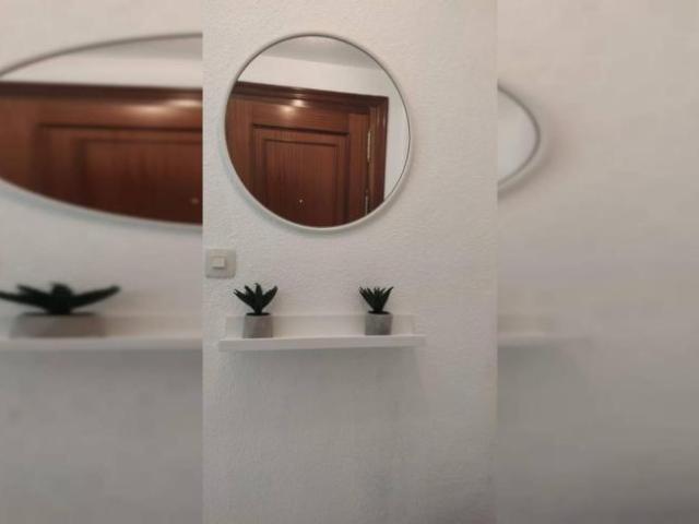 Apartamentos 1 Dormitorio Granada Granada ELS101761372