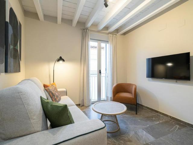 Apartamentos 1 Dormitorio Granada Granada ELS102661246