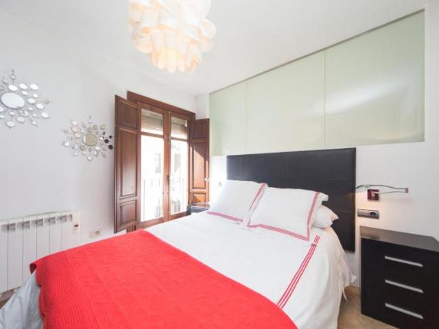 Apartamentos 1 Dormitorio Granada Granada ES103597982