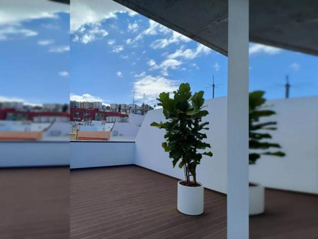 Apartamentos 1 Dormitorio Las Palmas De Gran Canaria Las Palmas De Gran Canaria ES101805271