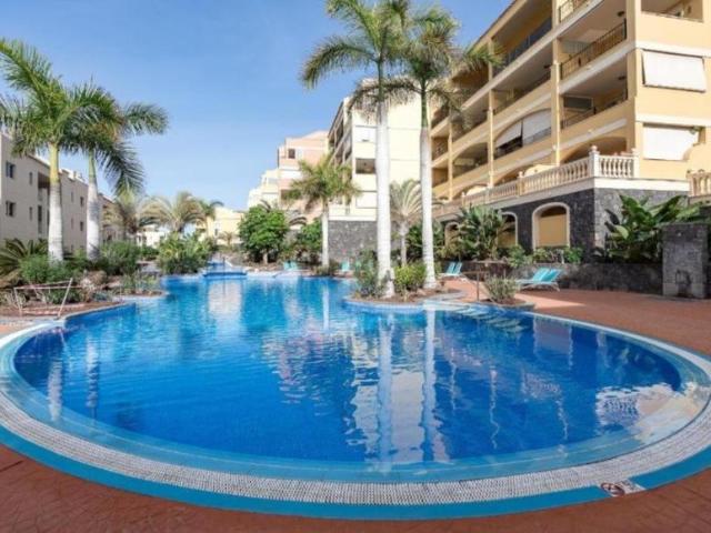 Apartamentos 1 Dormitorio Palm Palm ES101375817