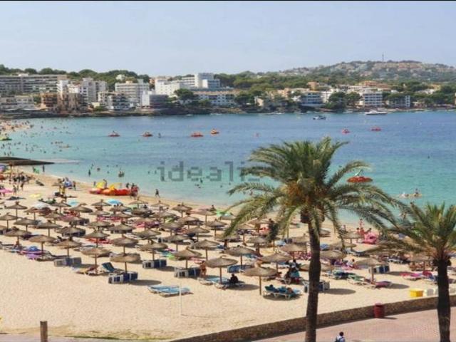 Apartamentos 1 Dormitorio Palma De Mallorca Palma De Mallorca ES101846117