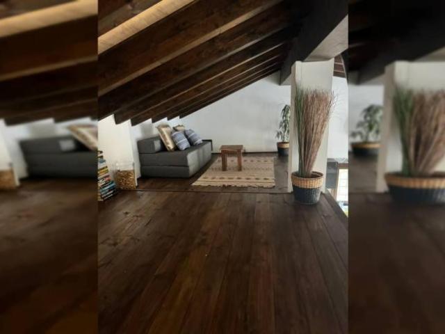 Apartamentos 1 Dormitorio Palma De Mallorca Palma De Mallorca ES96468293