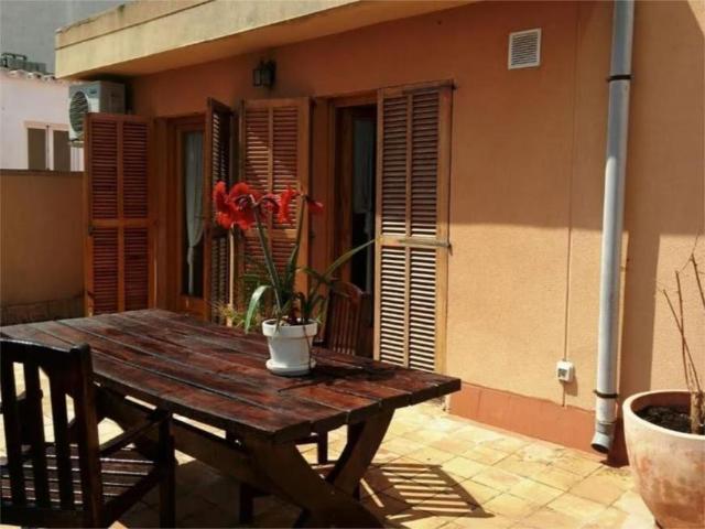 Apartamentos 1 Dormitorio Palma Illes Balears ES98092750