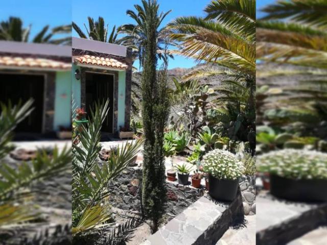 Apartamentos 1 Dormitorio Santa Cruz De Tenerife Santa Cruz De Tenerife ELS95299513