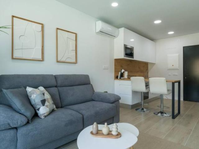 Apartamentos 1 Dormitorio Santa Cruz De Tenerife Santa Cruz De Tenerife ES102249844