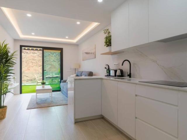 Apartamentos 1 Dormitorio Santa Cruz De Tenerife Santa Cruz De Tenerife ES102249894
