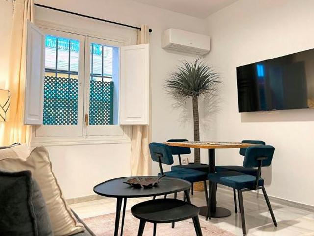Apartamentos 1 Dormitorio Sevilla Sevilla ES84222478