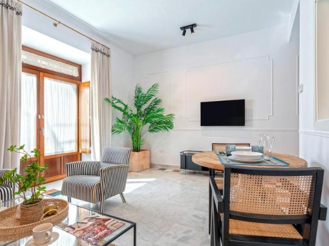 Apartamentos 1 Dormitorio Sevilla Sevilla ES90758081