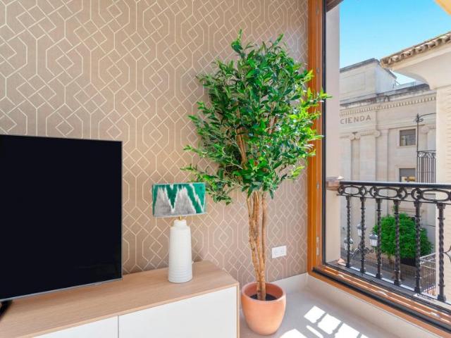 Apartamentos 1 Dormitorio Sevilla Sevilla ES90758102