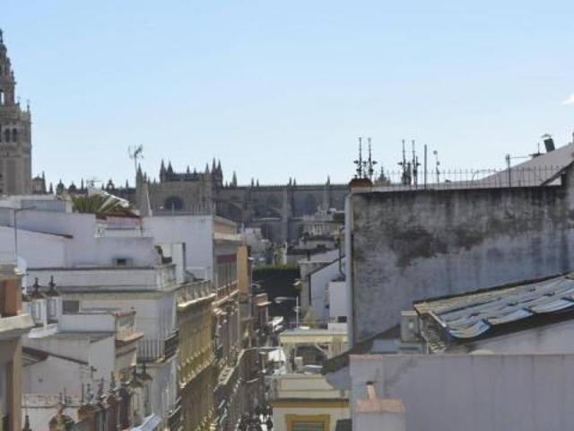 Apartamentos 1 Dormitorio Seville Seville ELS72924396