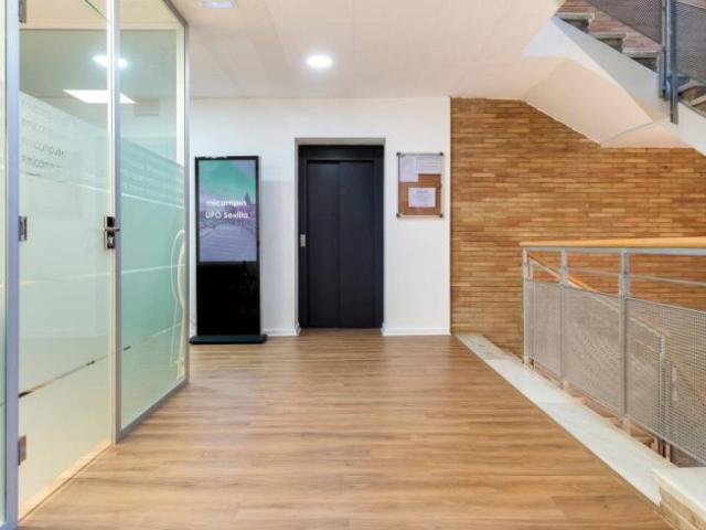 Apartamentos 1 Dormitorio Seville Seville ELS101824182