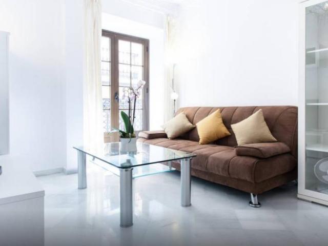 Apartamentos 1 Dormitorio Seville Seville ES100050554