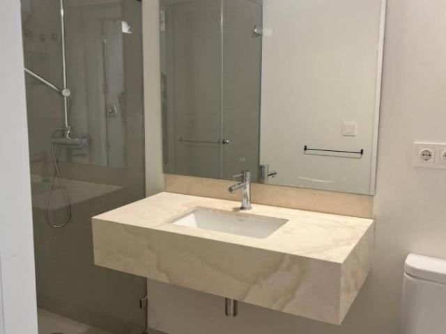 Apartamentos 1 Dormitorio Seville Seville ES100448716