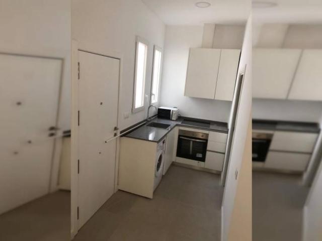 Apartamentos 1 Dormitorio Seville Seville ES100911041