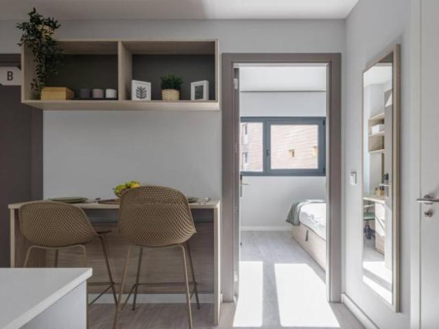 Apartamentos 1 Dormitorio Seville Seville ES101852624