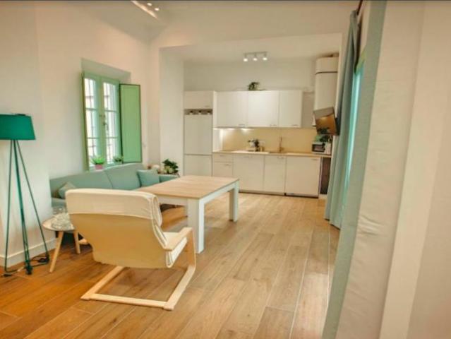 Apartamentos 1 Dormitorio Seville Seville ES101813581