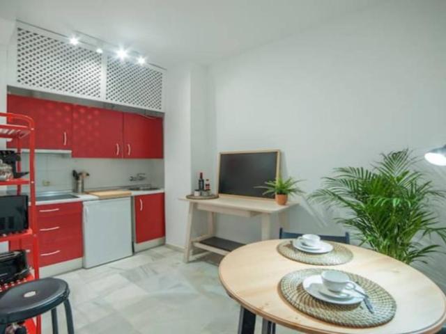 Apartamentos 1 Dormitorio Seville Seville ES101816170