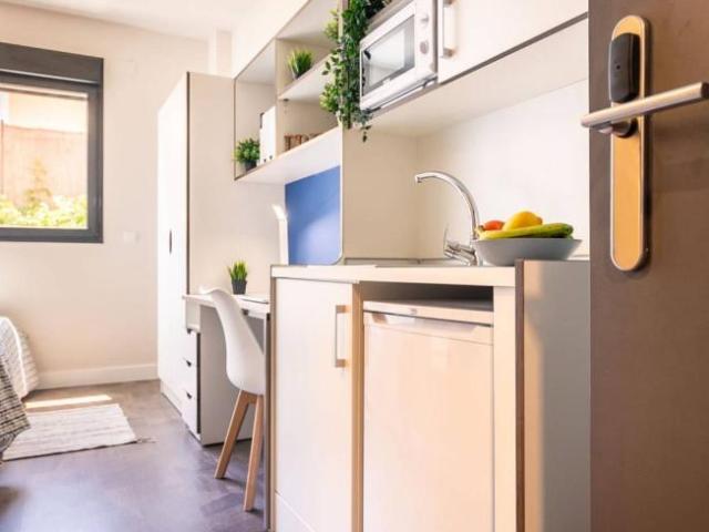Apartamentos 1 Dormitorio Seville Seville ES101839072