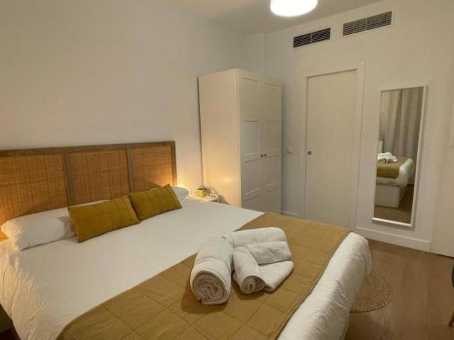 Apartamentos 1 Dormitorio Seville Seville ES103063862
