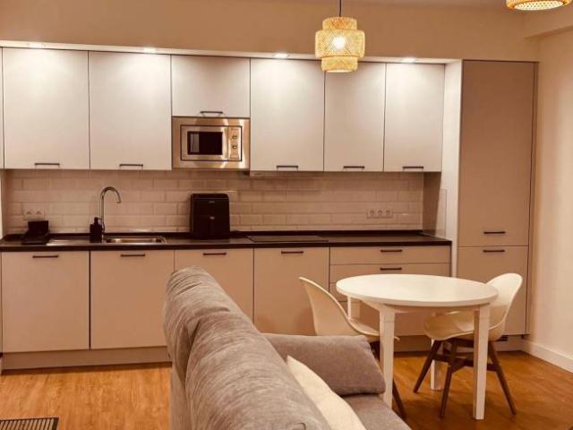 Apartamentos 1 Dormitorio Seville Seville ES103597303