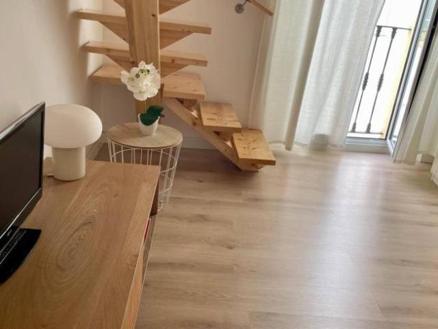 Apartamentos 1 Dormitorio Seville Seville ES104800447
