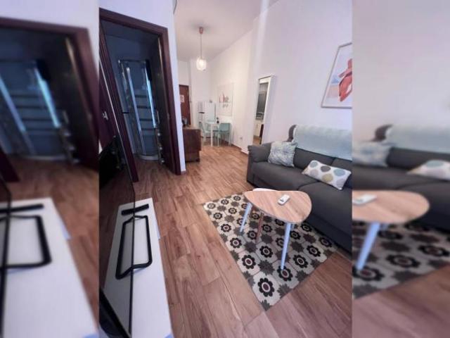 Apartamentos 1 Dormitorio Seville Seville ES91455002