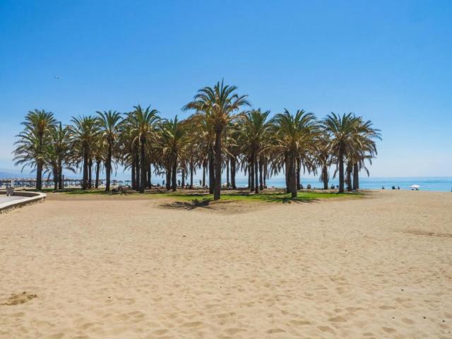Apartamentos 1 Dormitorio Torremolinos Torremolinos ES102308884
