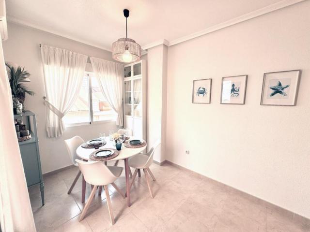 Apartamentos 1 Dormitorio Torrevieja Torrevieja ES103244641