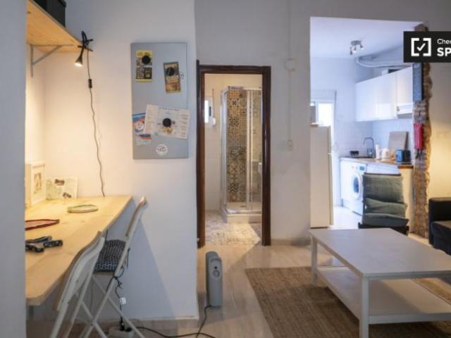 Apartamentos 1 Dormitorio Valencia Valencia ELS101805779