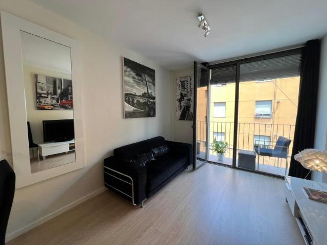 Apartamentos 1 Dormitorio Valencia Valencia ELS102553940
