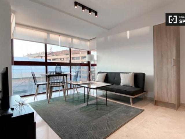 Apartamentos 1 Dormitorio Valencia Valencia ELS98922935