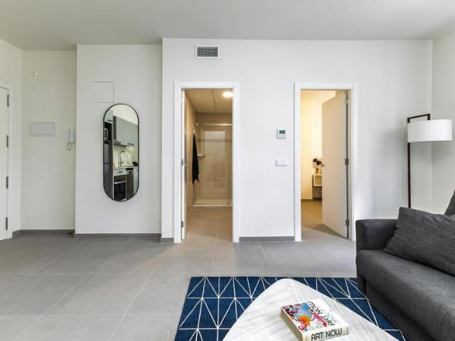 Apartamentos 1 Dormitorio Valencia Valencia ELS99686129