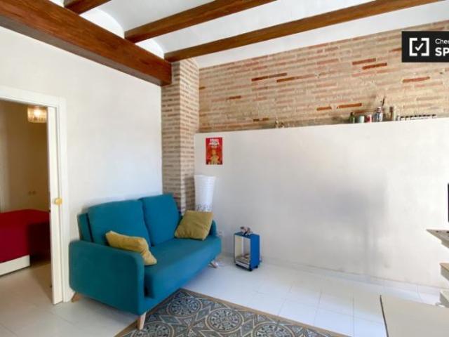 Apartamentos 1 Dormitorio Valencia Valencia ES104144646