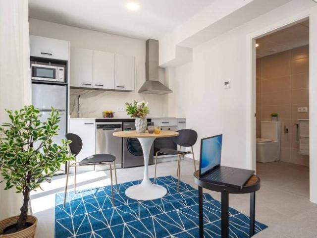 Apartamentos 1 Dormitorio Valencia Valencia ES104800059