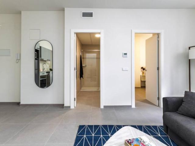 Apartamentos 1 Dormitorio Valencia Valencia ES104802511