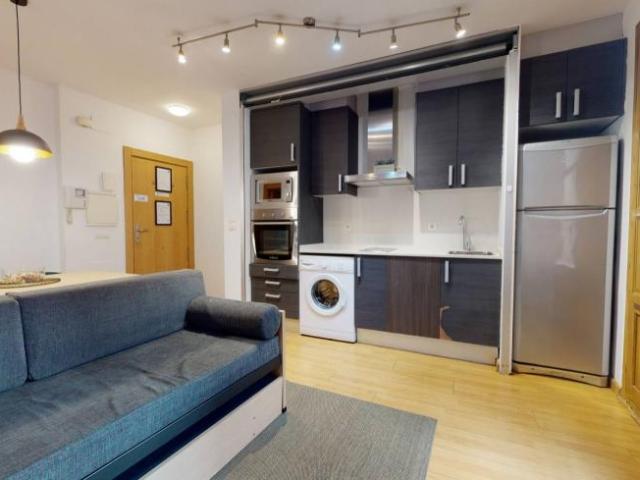 Apartamentos 1 Dormitorio Valencia Valencia ES101731658