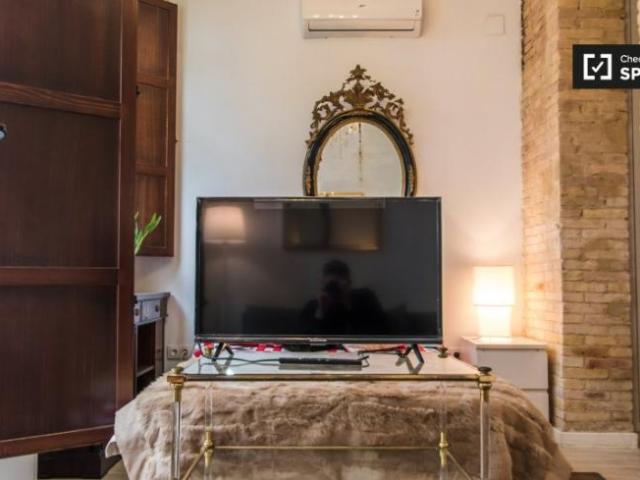 Apartamentos 1 Dormitorio Valencia Valencia ES101814459