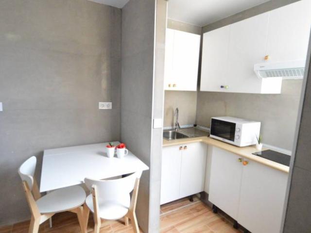 Apartamentos 1 Dormitorio Valencia Valencia ES101815039