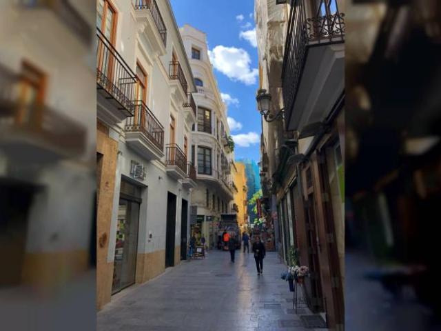 Apartamentos 1 Dormitorio Valencia Valencia ES101819537