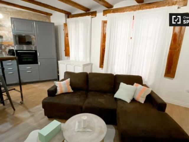 Apartamentos 1 Dormitorio Valencia Valencia ES101822919