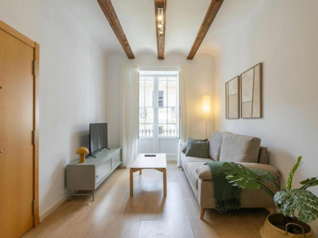 Apartamentos 1 Dormitorio Valencia Valencia ES102205509
