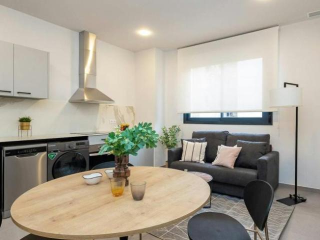 Apartamentos 1 Dormitorio Valencia Valencia ES103153155
