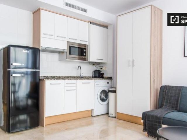 Apartamentos 1 Dormitorio Valencia Valencia ES98922970