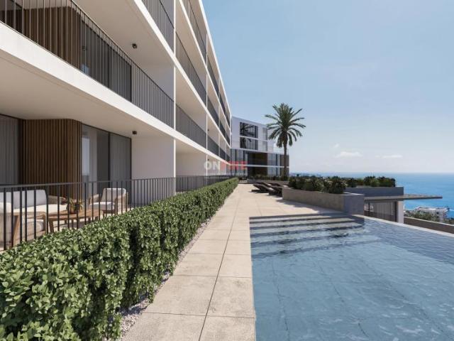 Apartamentos 1 quarto, Câmara de Lobos Ilha da Madeira DS95452376