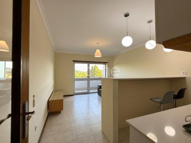 Apartamentos 1 quarto, Anadia Anadia DS102859200