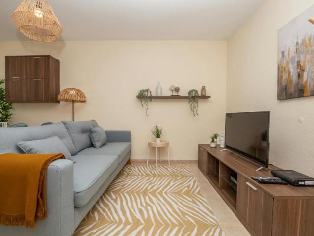 Apartamentos 1 quarto, Albufeira Albufeira 8200 328 DLS102114814
