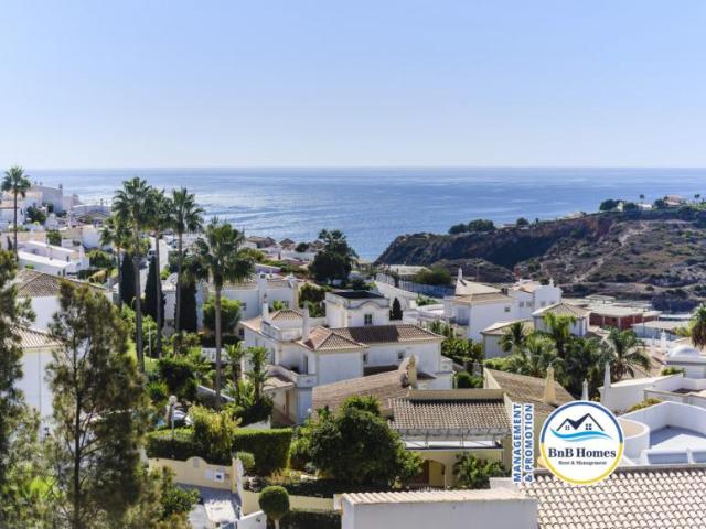 Apartamentos 1 quarto, Albufeira Albufeira DS77947924