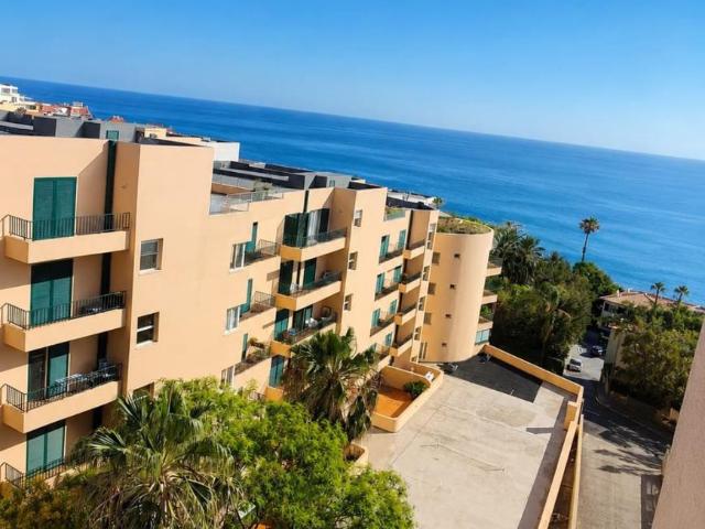 Apartamentos 1 quarto, Funchal Funchal DS103325254